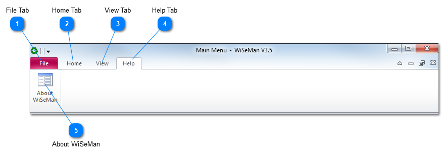 WiSeMan Help Ribbon