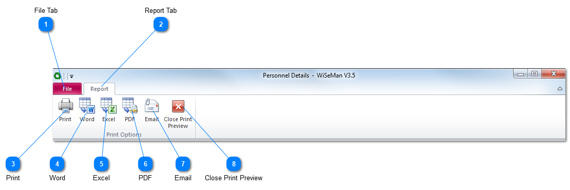 WiSeMan Print Ribbon