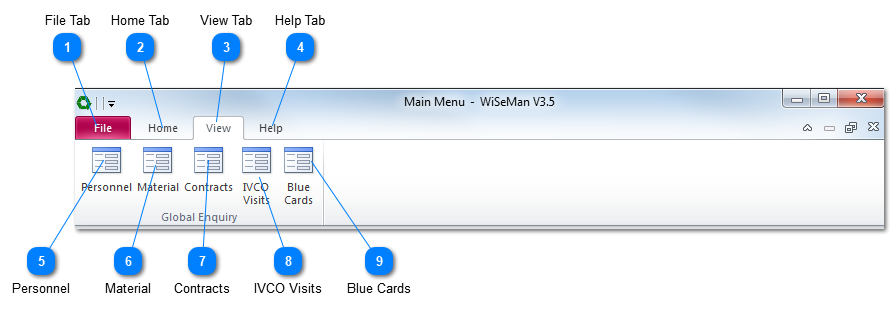 WiSeMan View Ribbon